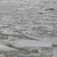 Un câine rămas pe o bucată de gheaţă în albia râului Ialomiţa, salvat de pompieri